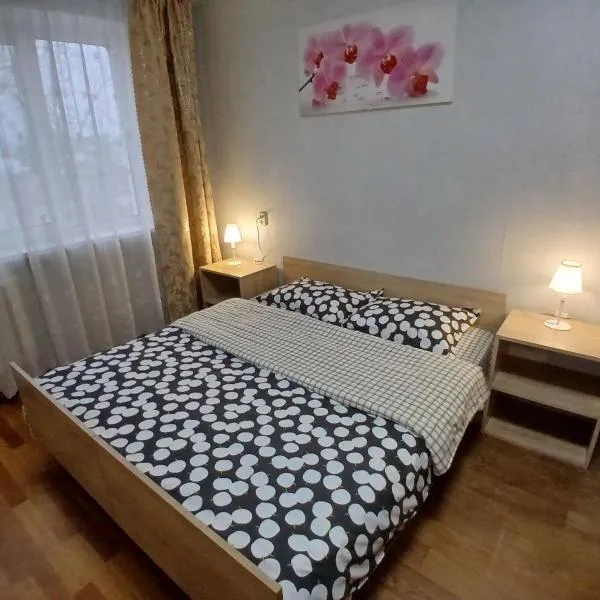 Квартира біля залізничного вокзалу，位于文尼察的酒店
