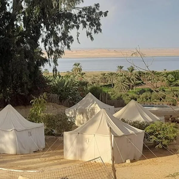 Tunis Camp Fayoum,位于法尤姆的酒店
