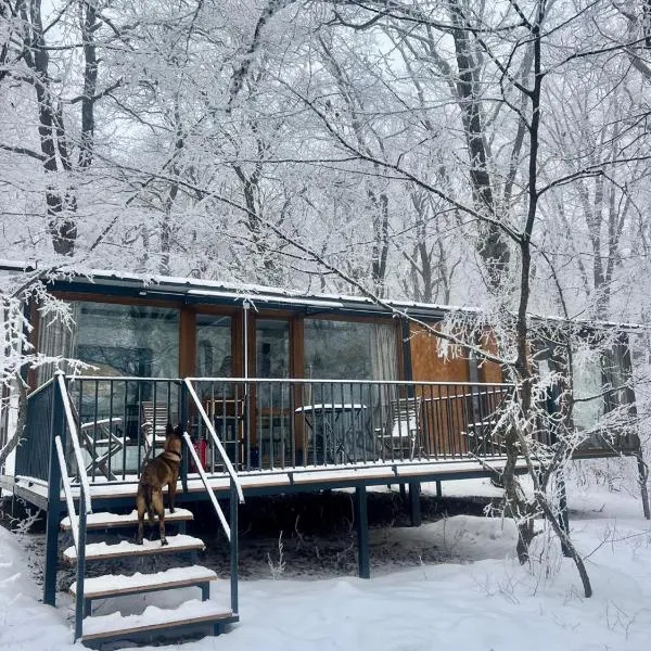 Nina's winery forest house in Kiketi，位于第比利斯的酒店