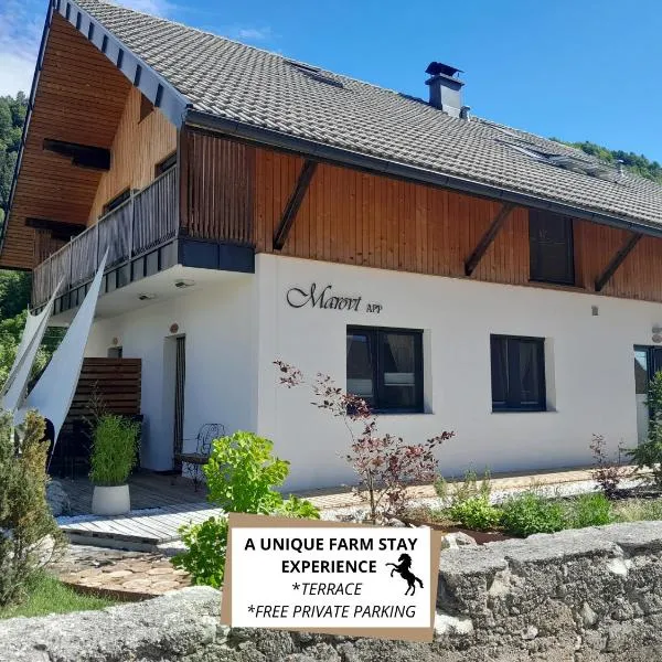 Turistična kmetija Marovt，位于布莱德的酒店