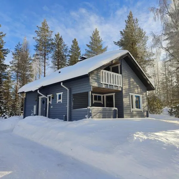 Havurinne，位于Kotila的酒店