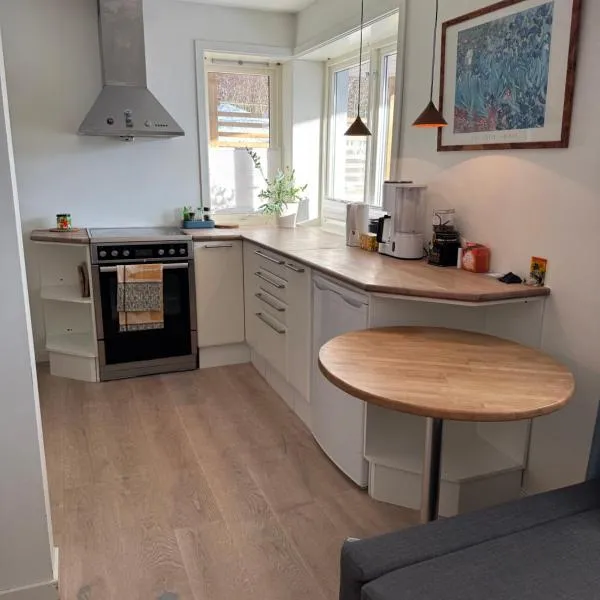 Studio Drammen，位于德拉门的酒店