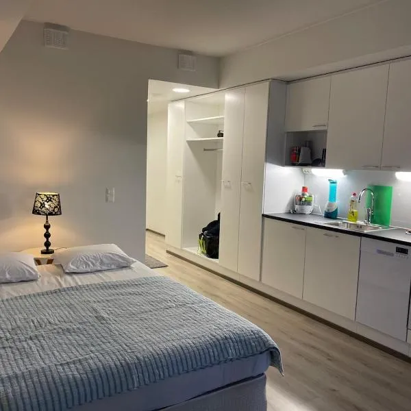 Modern furnished studio，位于Martinkylä的酒店