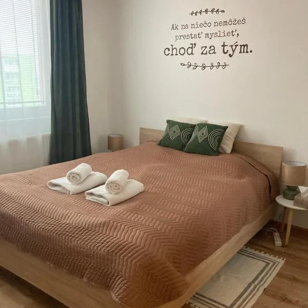 Apartmán neďaleko centra mesta，位于米哈洛夫采的酒店