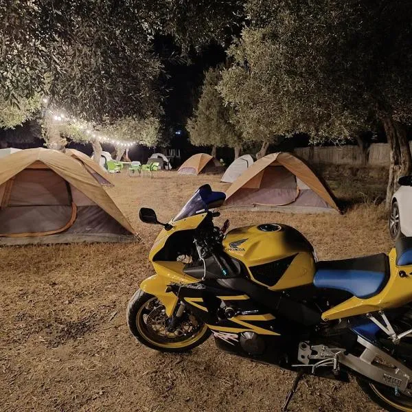 Waveside Camping，位于博尔什的酒店