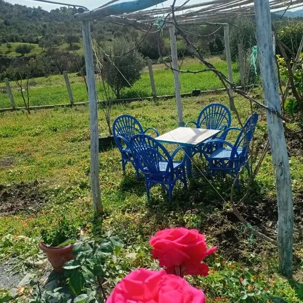 Dar zitouna，位于舍夫沙万的酒店