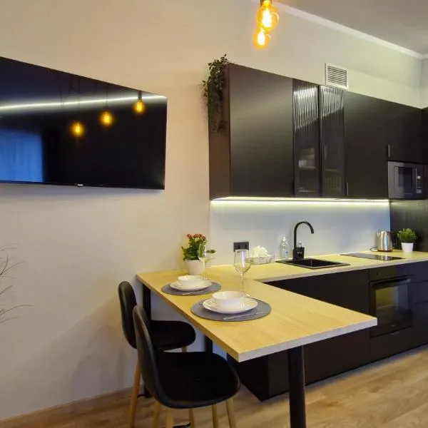 Räpina Studio Apartment，位于赖皮纳的酒店