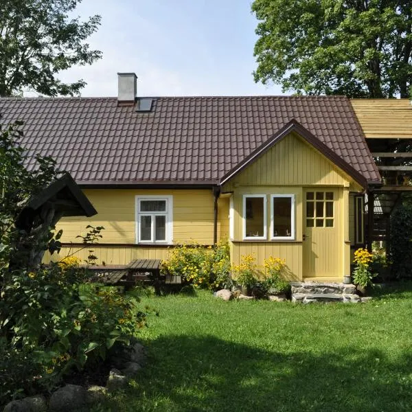 Biebrza noclegi Dom pod dobrą ręką，位于Chojnowo的酒店