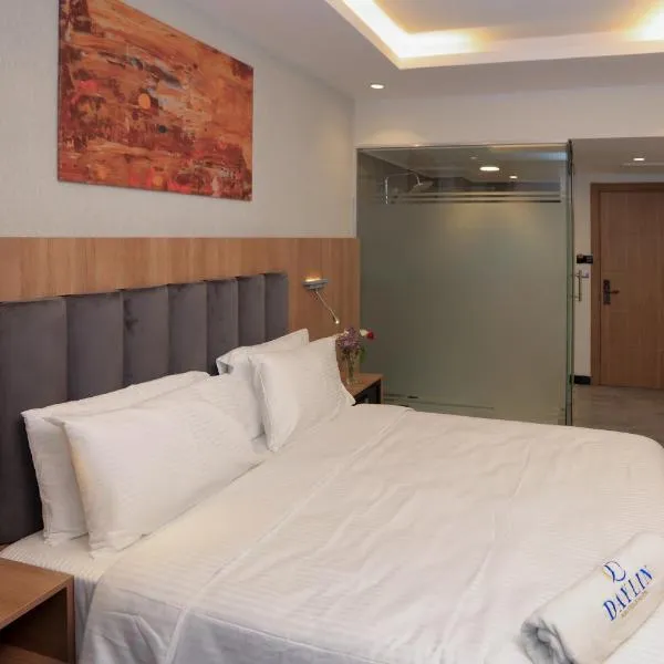 Daylin Guest House，位于亚的斯亚贝巴的酒店