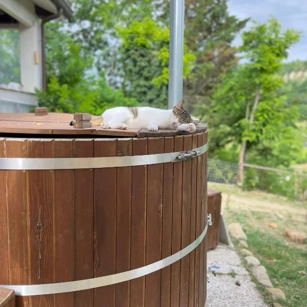 La Cà di Gatt，位于Monteleone的酒店