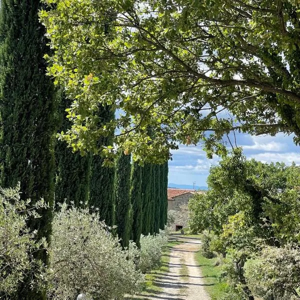 Agriturismo Melodie Toscane Sorano，位于索拉诺的酒店