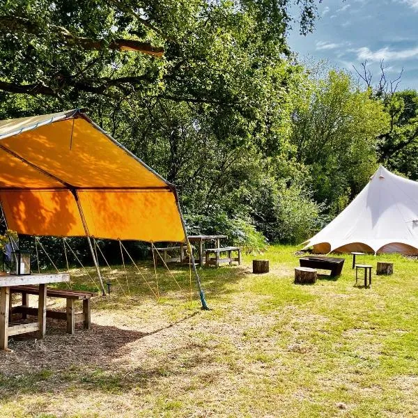 Lickham Bottom Camping，位于Hemyock的酒店