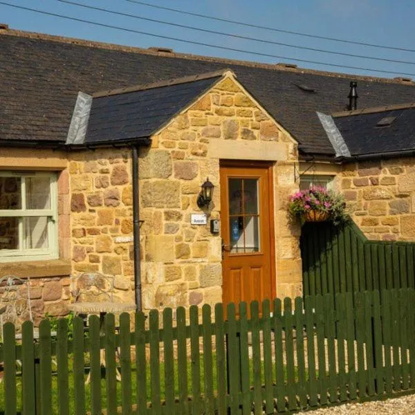 Avocet Cottage，位于Lucker的酒店