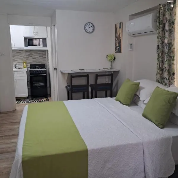 Michand Guest Apartments- Cozy one or two bedroom- 5 walk minutes from airport 10 mins drive to Oistins or beach，位于基督教堂市的酒店