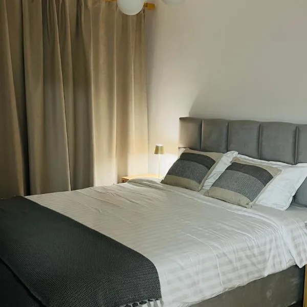 MB Studio，位于Lupeni的酒店