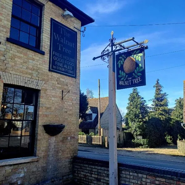 the walnut tree，位于威灵顿的酒店