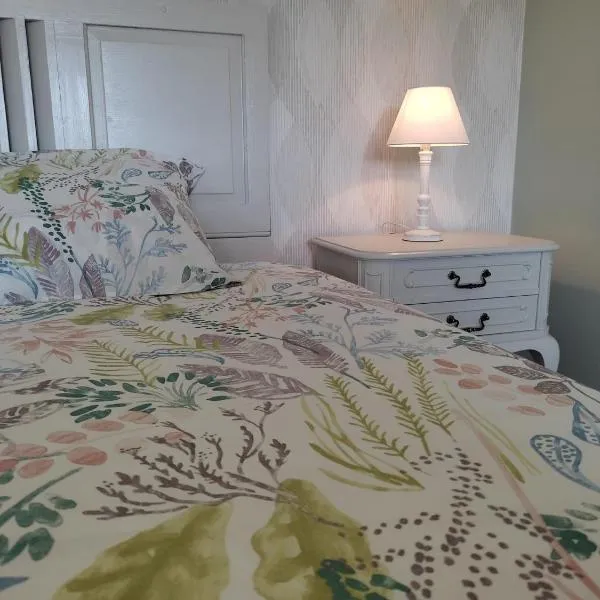 La maison des Bretzels GÎTE Jacuzzi privé illimité，位于Pfaffenhoffen的酒店