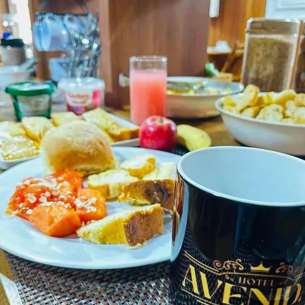 Hotel Avenida，位于新弗里堡的酒店