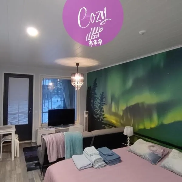 Northern Lights - Cozy apartment, sisältää liinavaatteet，位于卡拉约基的酒店