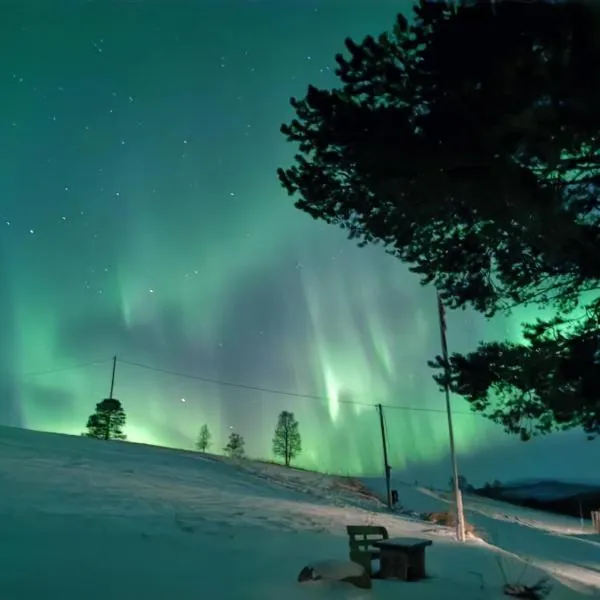 Feriehus ved Fjellfroskvatnet，位于Skjold的酒店