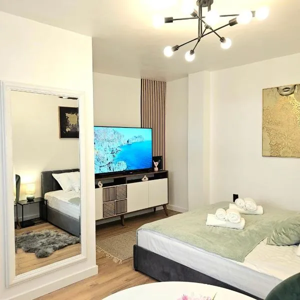 City Center Apartment Cluj，位于克卢日-纳波卡的酒店