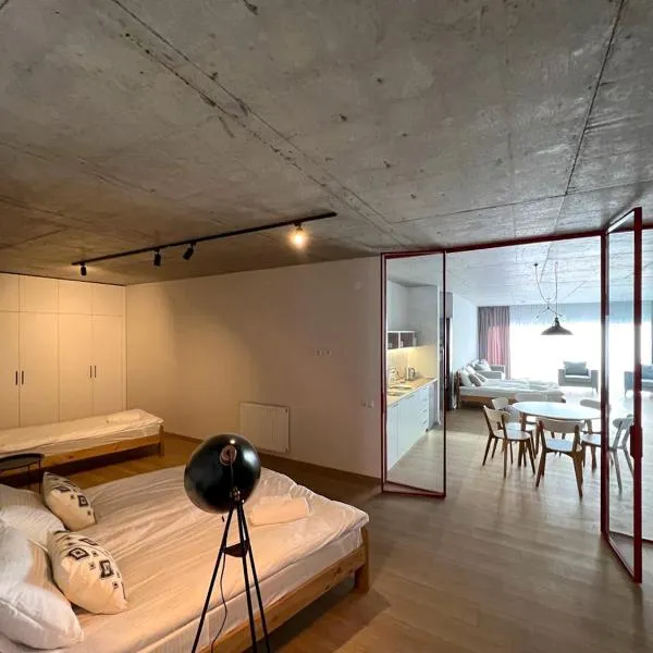 High Gudauri - Ski in ski out - loft，位于古多里的酒店