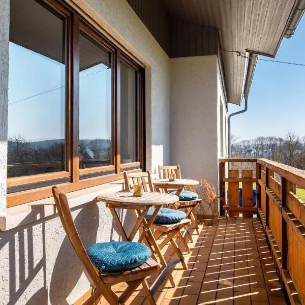 Pension am Hohberghof Dielheim，位于Dielheim的酒店