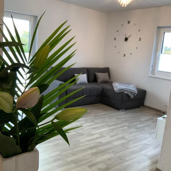 5 Sterne Wohnung Hunsrück Harmonie，位于Beltheim的酒店