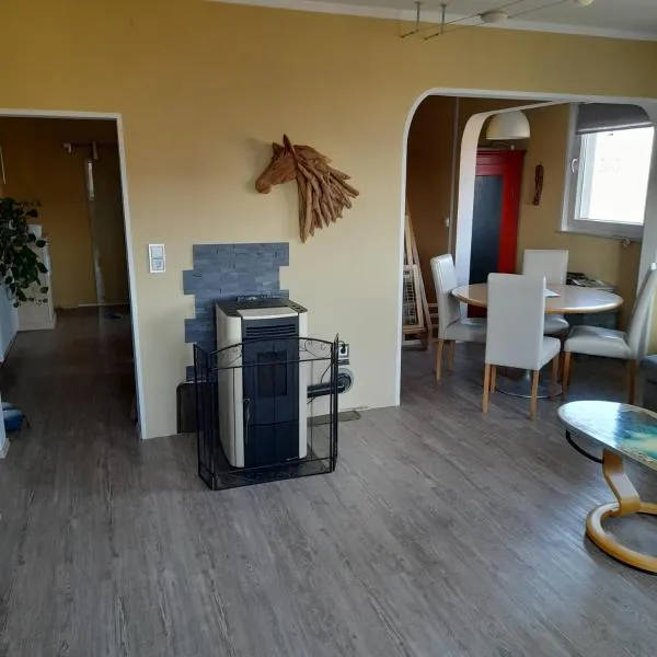 Ferienwohnung Rhönblick，位于巴特柯尼希斯霍芬的酒店