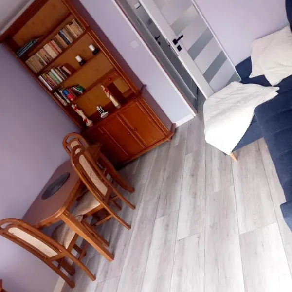Apartament w centrum，位于扎甘的酒店