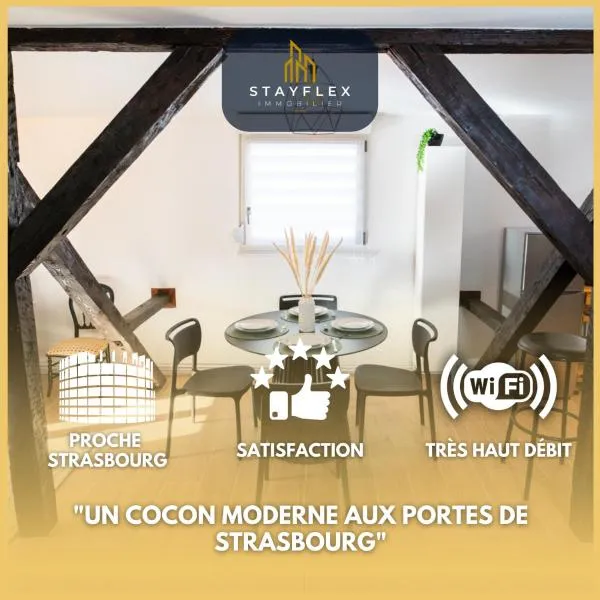 Le Cosy du Brasseur - Magnifique Duplex Schiltigheim, Proche Strasbourg，位于希尔蒂盖姆的酒店