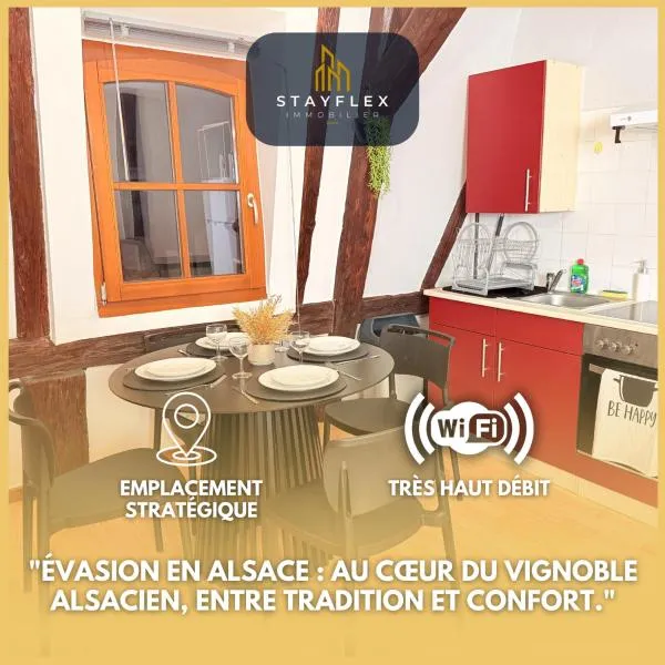 Le Cocon Alsacien au cœur de Rouffach，位于鲁法克的酒店