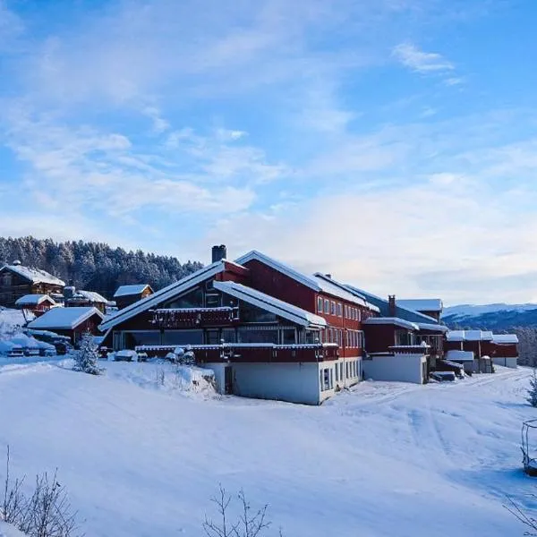 利亚费杰尔酒店，位于耶卢的酒店