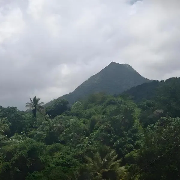 Maison entière - La Florière Verdoyante，位于Le Morne Rouge的酒店