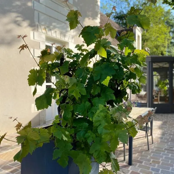 chambre d'hôtes La Marmittiére，位于Civray-de-Touraine的酒店