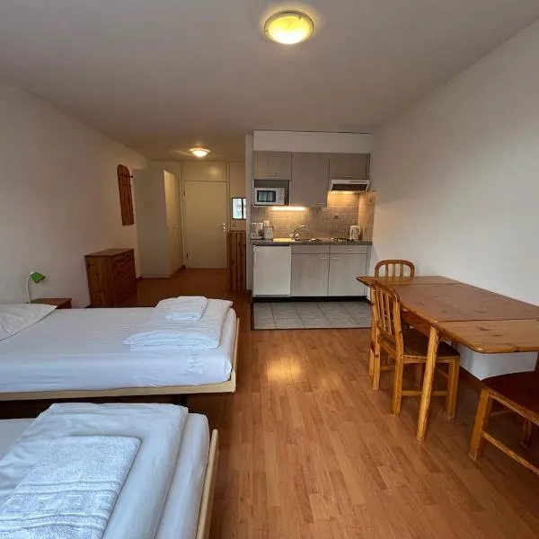 Studio for 2 people with parking，位于Vionnaz的酒店