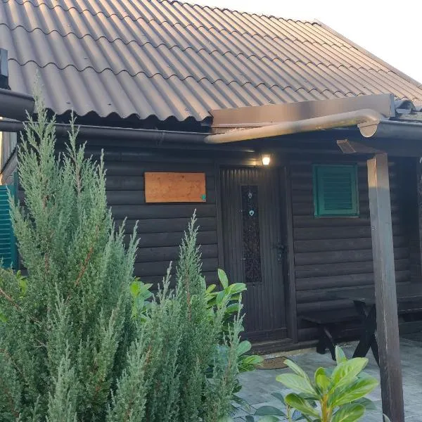 APARTMA Lara TERME ČATEŽ，位于布雷日采的酒店