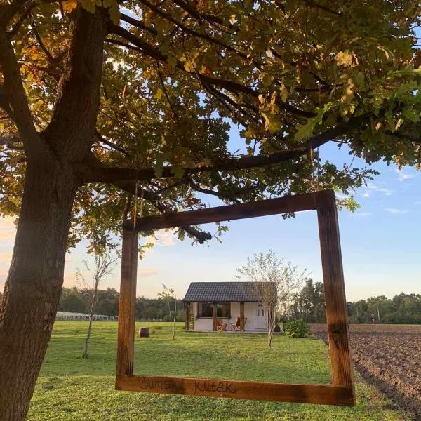 Šumski Kutak，位于Zasavica的酒店