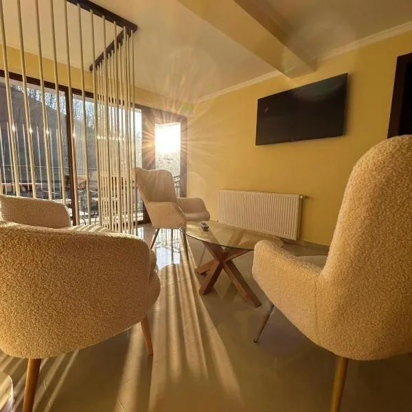 Roua Ilvei INN，位于Ilva Mică的酒店