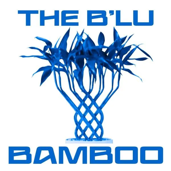 B'lu Bamboo，位于莫阿尔博阿的酒店