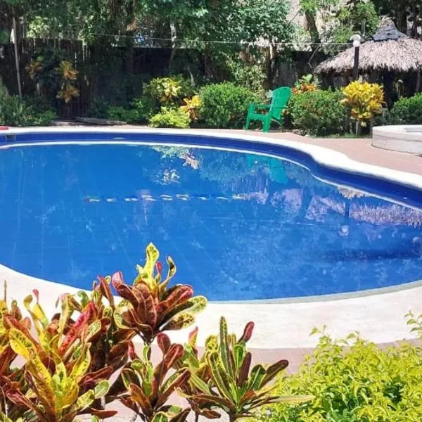 Hostal casa Jungla，位于帕洛米诺的酒店