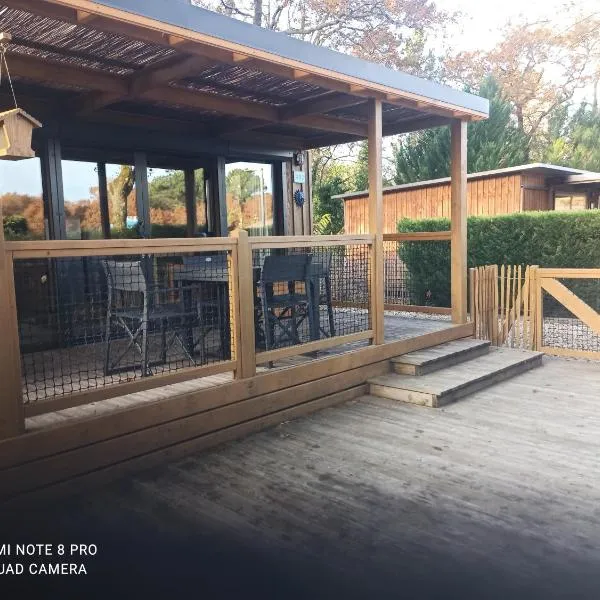 Chalet RUISSEAU 02，位于拉特斯特德布赫的酒店