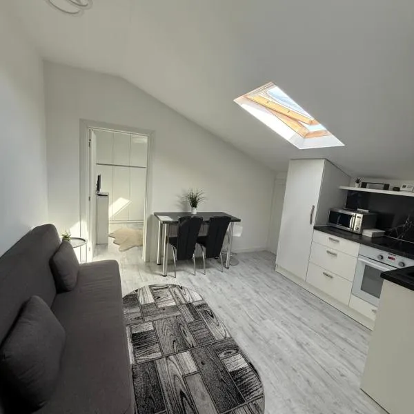 Apartament Radauti，位于勒德乌齐的酒店