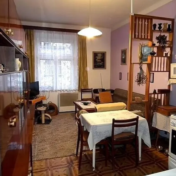 Flat in the heart of Decin close to via ferrata，位于Podmokly的酒店