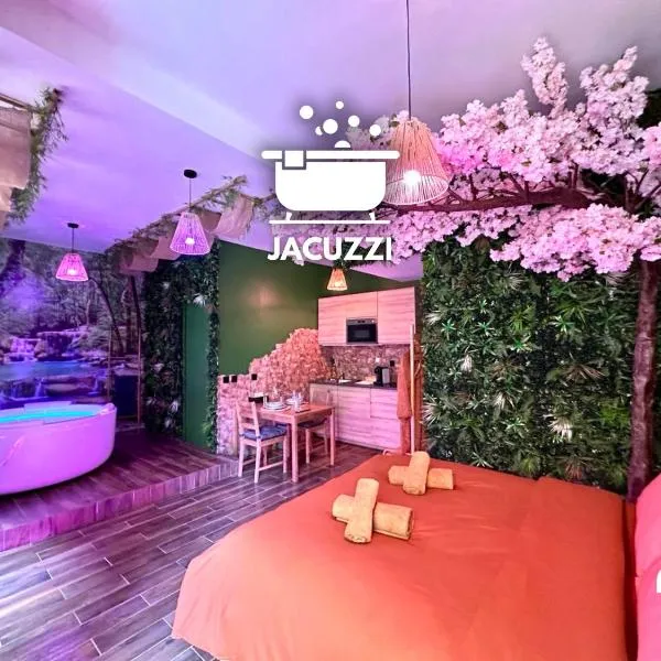 Narbnb - JUNGLE SUITE - Jacuzzi - Centre - Clim，位于纳博讷的酒店