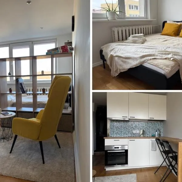 Maslow apartments - Self check in，位于Vilnius的酒店