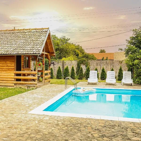 Village Story kuća za odmor Plavna，位于Plavna的酒店