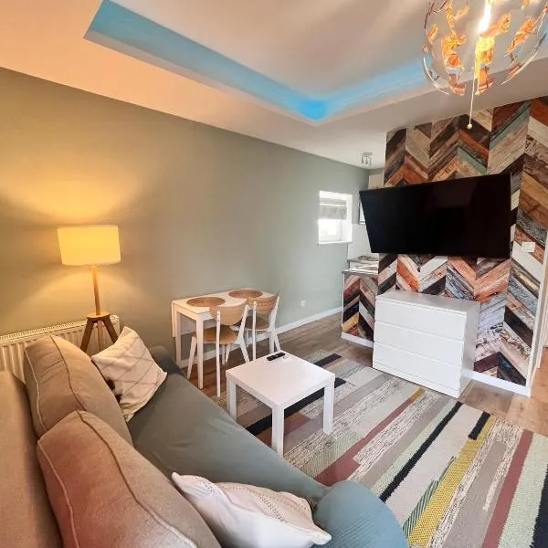 Studio Orzeł Biały，位于比托姆的酒店