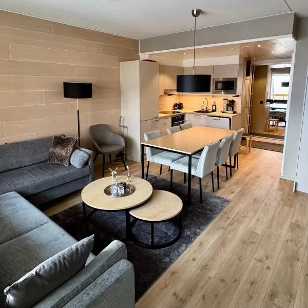 Levin Kunkku B6，位于列维的酒店