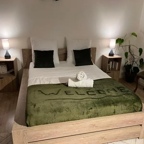 Triplex à La Roche de Glun，位于拉罗克德格兰的酒店